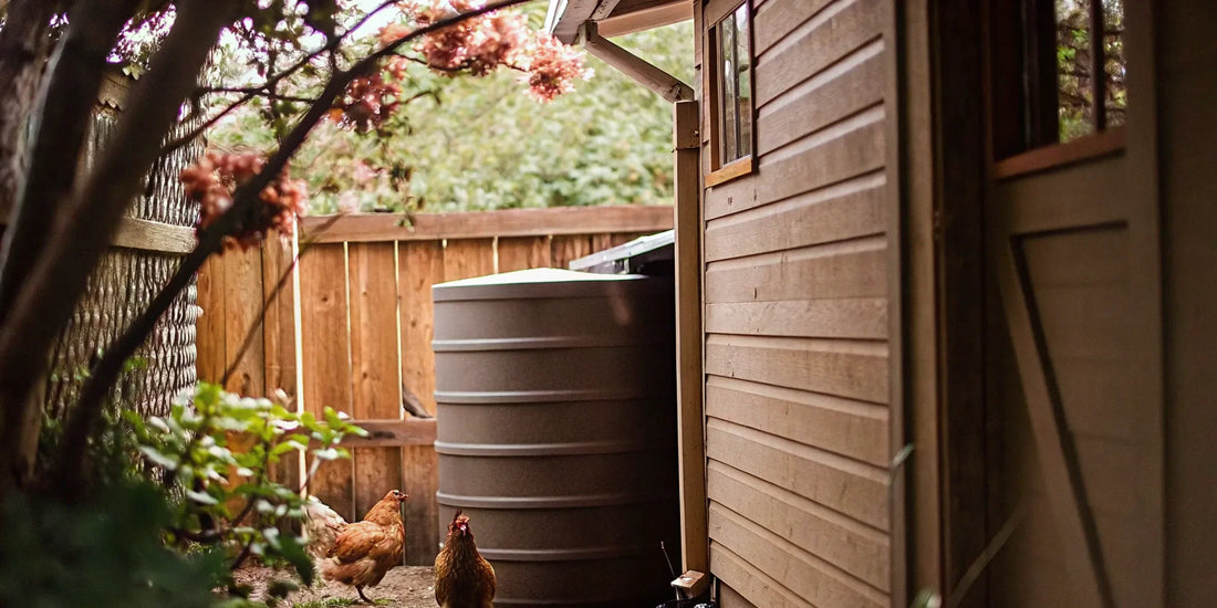 Flat back rain barrel against shed in garden