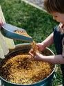 Chicken Feed - Non-GMO, Soy Free, 18% Protein & Organic Minerals