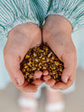 Chicken Feed - Non-GMO, Soy Free, 18% Protein & Organic Minerals