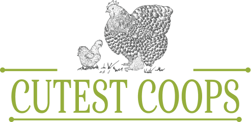 Luxury Chicken Coops: Stylish, Safe & Easy to Clean | Cutest Coops