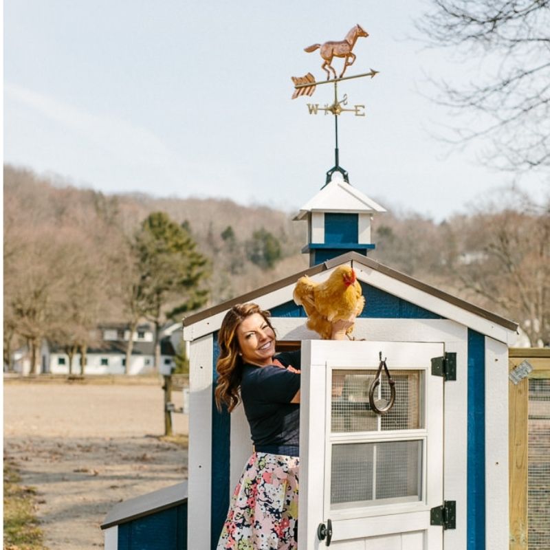 Cute Copper Horse Weathervane