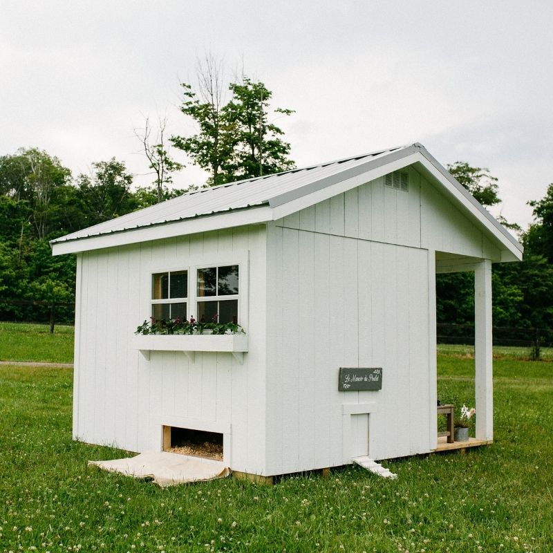 Easy to Clean Chicken Coop. Large Chicken Coop. Chicken Coop for 12 or more chickens