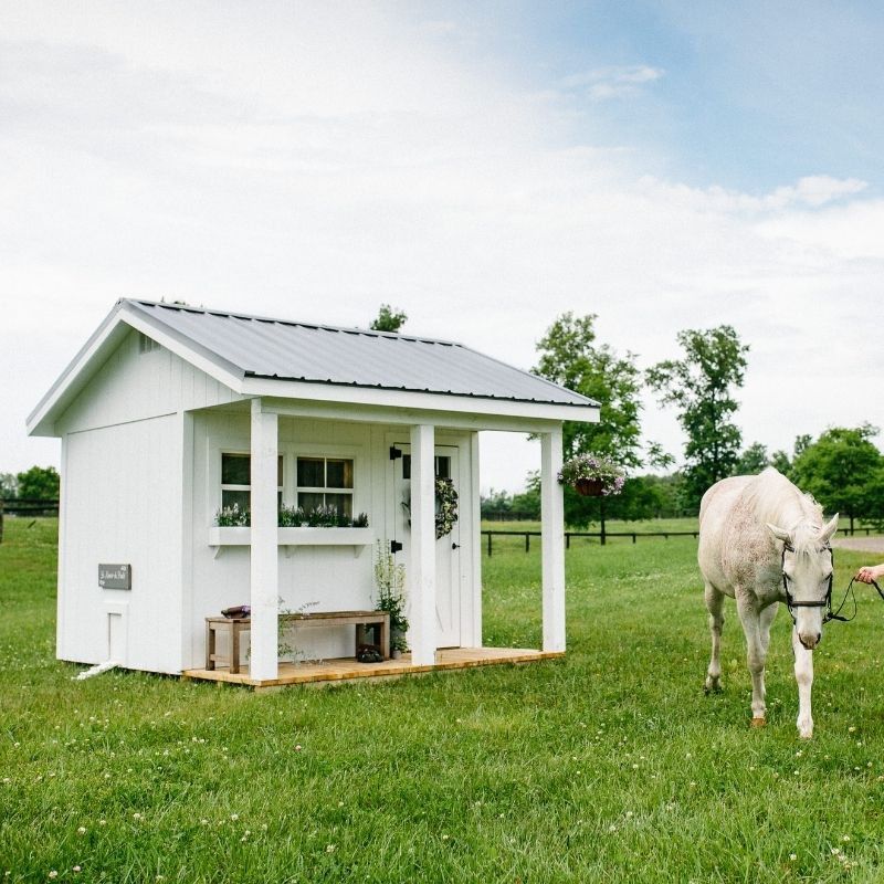 Chateau Coop - 8'x10'