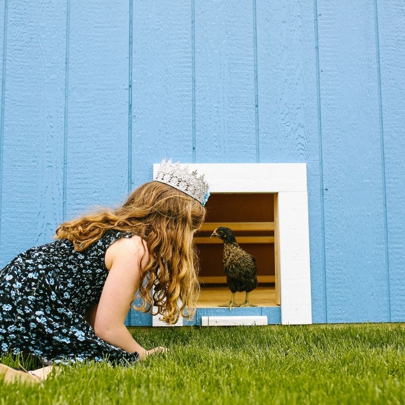 Chicken Run Door.  Cute Chicken Coop