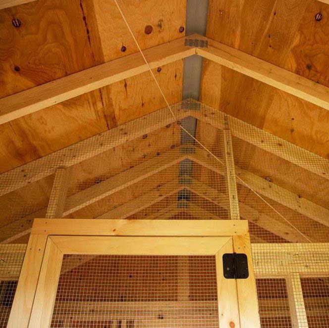 Classic Coop - 8'x8'