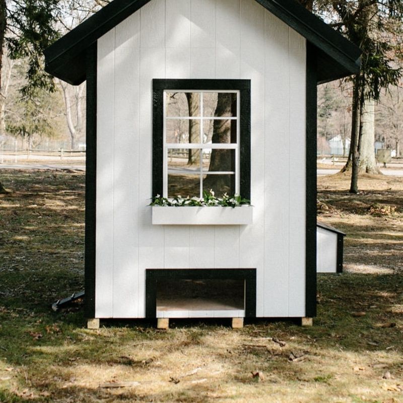 Chapel Coop - 6'x6'