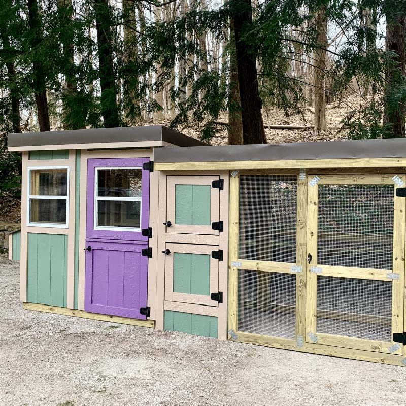 Cube Coop - 6'x4'
