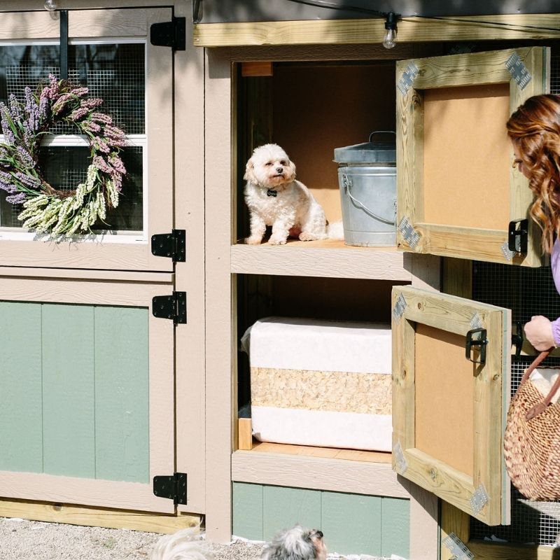 Storage Locker for Chicken Coop. Modern Chicken Coop. Functional Chicken Coop