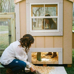 Easy clean chicken coop
