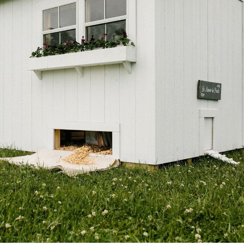 Easy Clean Chicken Coop.  High Quality Chicken Coop.  Hen Home.
