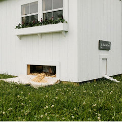 Easy Clean Chicken Coop.  High Quality Chicken Coop.  Hen Home.