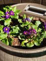 Round Woodgrain Rain Barrel w/ Planter
