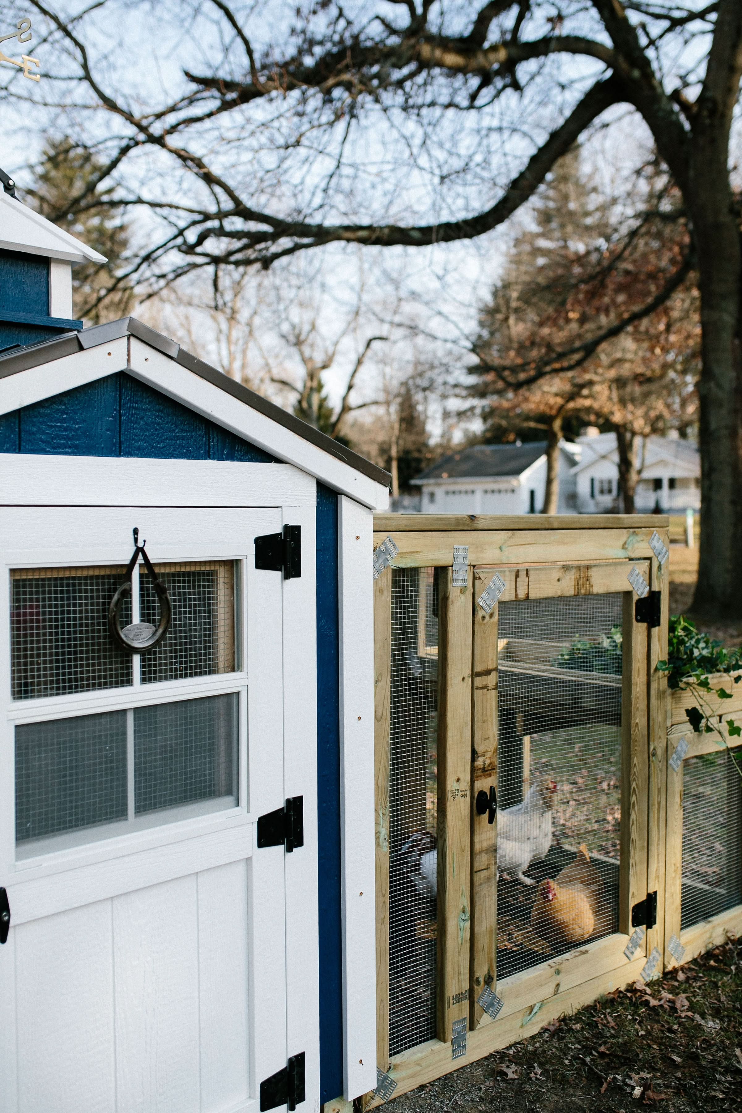 Charming Coop - 4' x 4'