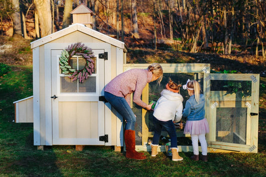 Plastic Chicken Coops: Pros & Cons