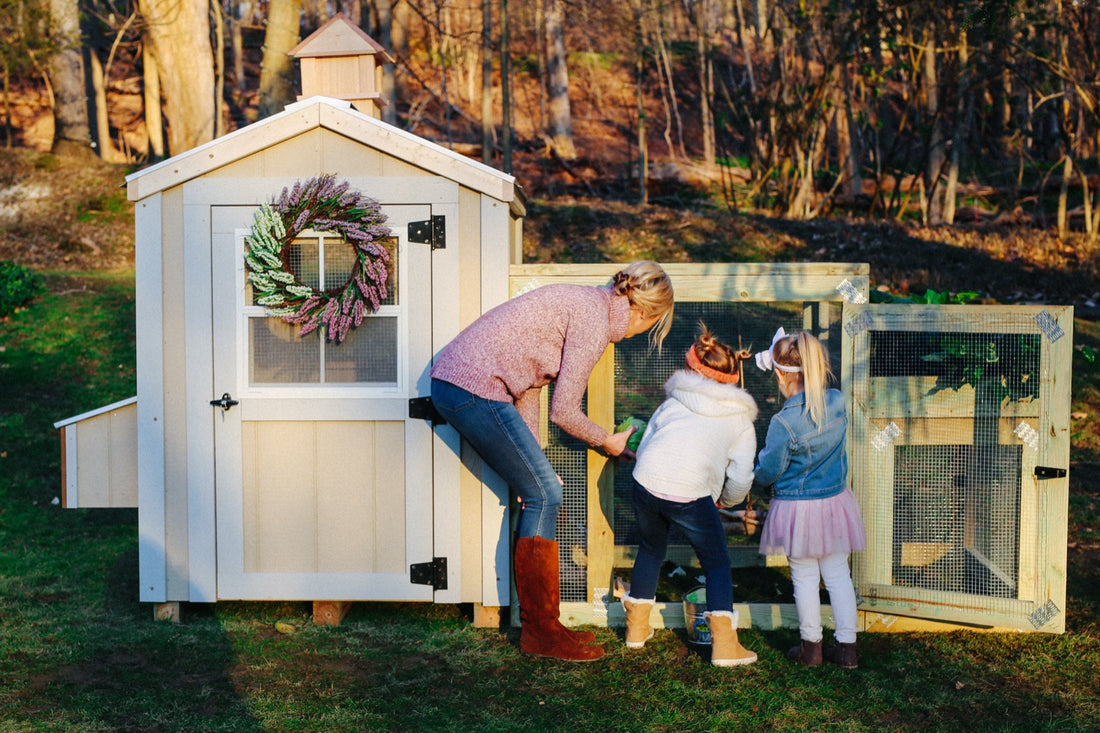 Your Checklist for Quality Chicken Coops for Sale