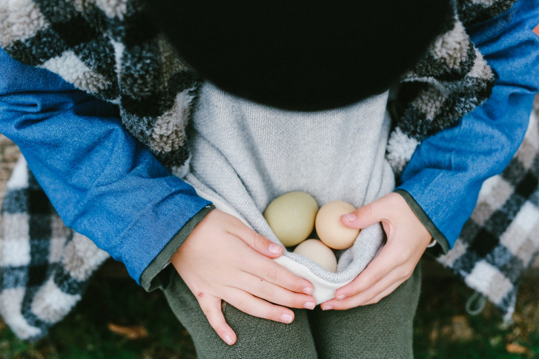 Your Guide to Designer Chicken Coop Decor