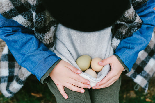 Your Guide to Designer Chicken Coop Decor