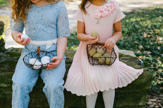 Chic Painted Chicken Coops: DIY Guide & Ideas