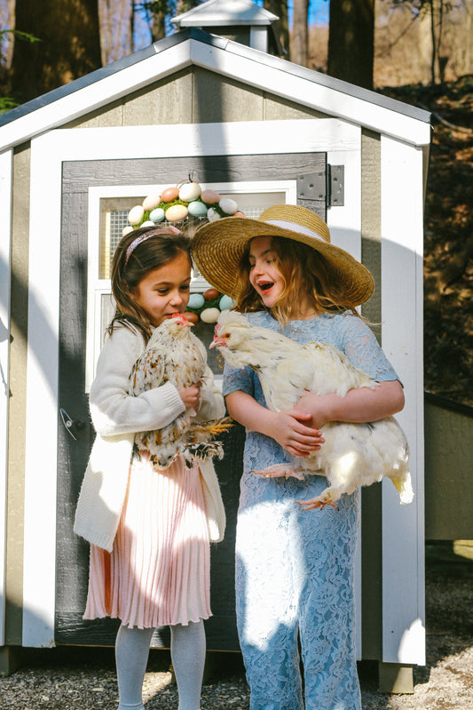 Chicken coop with fresh bedding