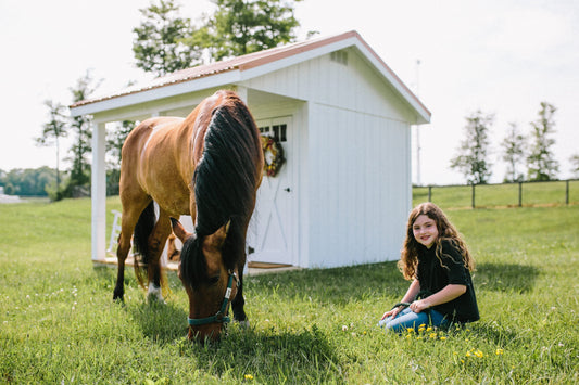 Horse and girl in front of chicken coop, built by Amish
