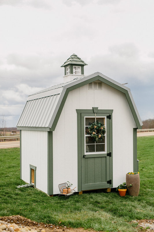 Affordable chicken coop in a sunny backyard