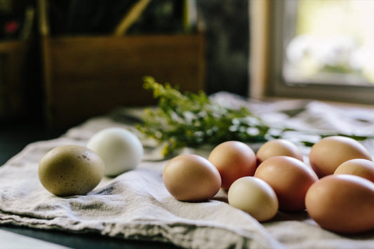 The Ultimate Chicken Coop Checklist: Essential Items