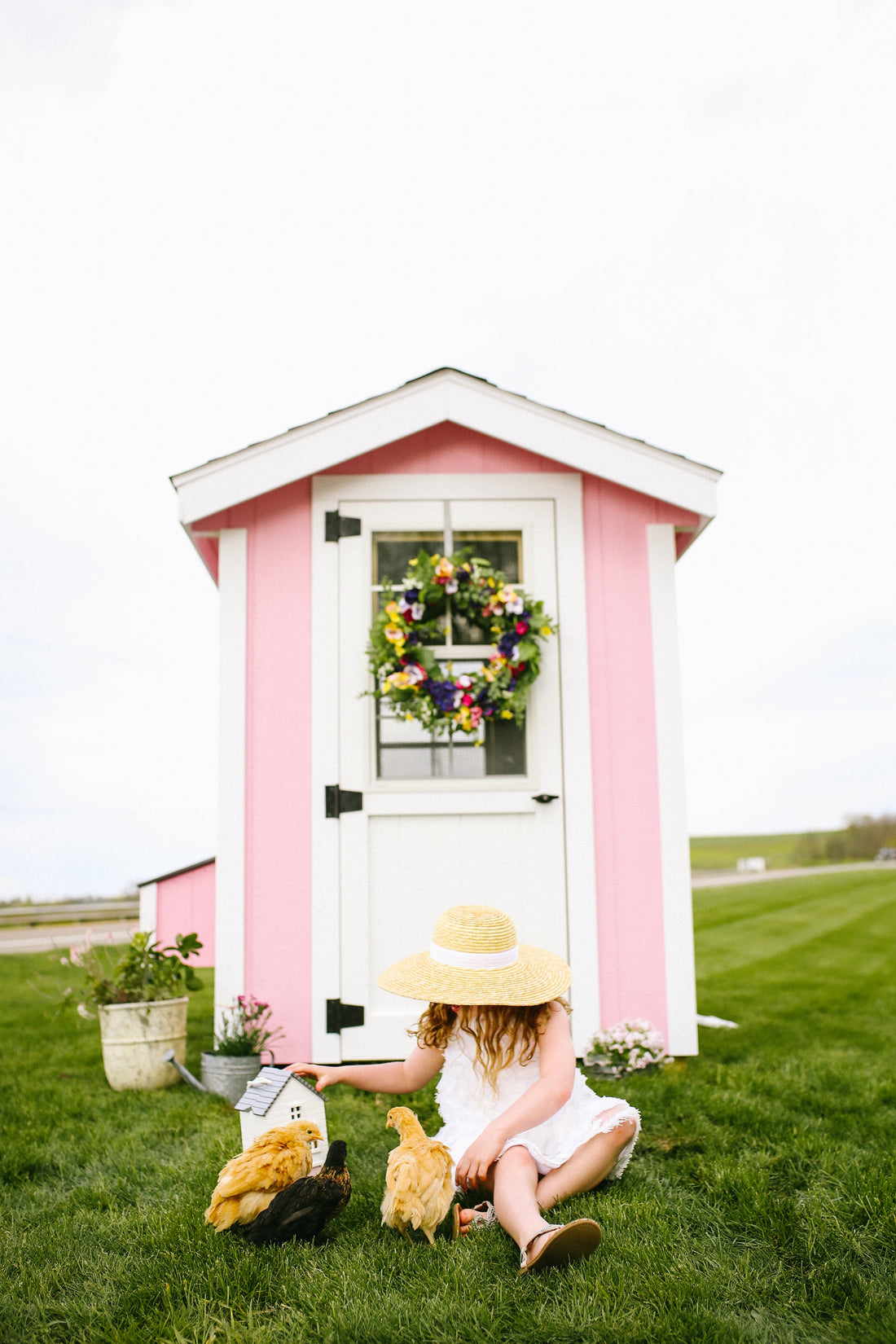Luxury chicken coop enhancing backyard and providing flock safety