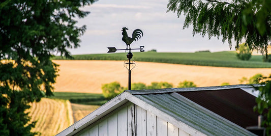 Rooster weathervane atop a roof