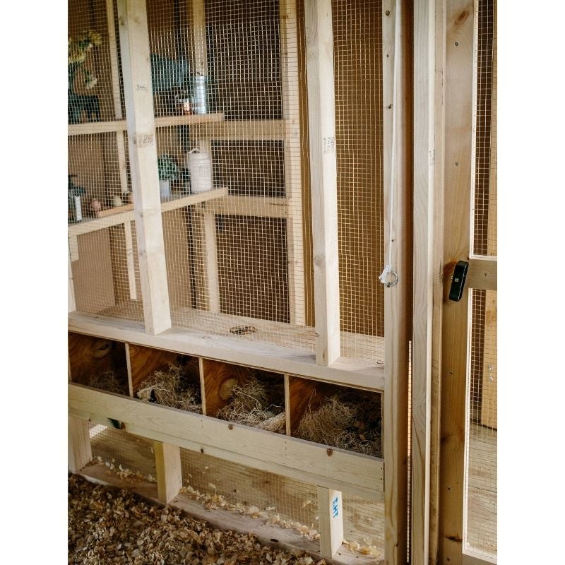 Safe and Comfortable Chicken Coop Interior.  Chicken Coop Layout.  Cutest Coops