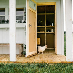Chicken Coop with Storage.  Chicken Mansion