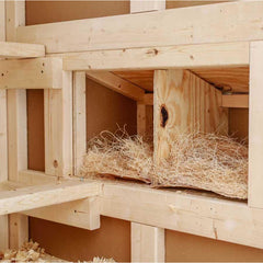 chicken coop interior.  nesting boxes for chickens