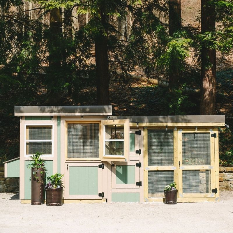 Chicken Coop and Run in One.  Perfect Coop for Small Backyard
