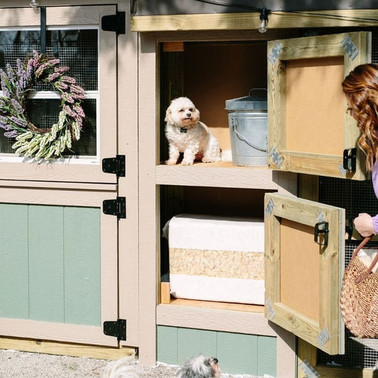 Storage Locker for Chicken Coop.  Modern Chicken Coop.  Functional Chicken Coop