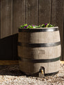 Round Woodgrain Rain Barrel w/ Planter