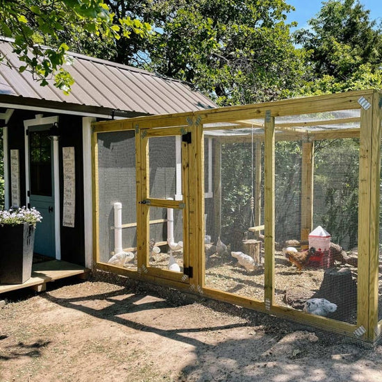 Modern Farmhouse Chicken Coop | Cutest Coops – Cutest Coops, LLC.